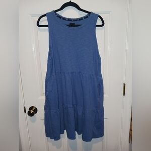 GAP Classic Blue Dress